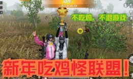 新年吃鸡爆料视频下载,视频揭秘全新玩法与惊喜
