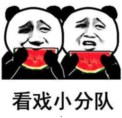 吃瓜表情包啥意思,网络热词背后的文化现象